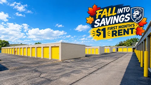 Storage Lion - W Tower Ave storage facility exterior view